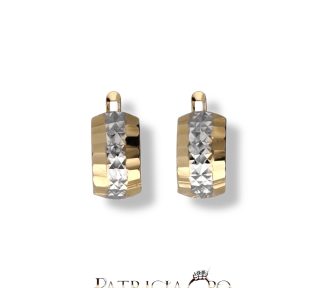 Splendidi orecchini in oro bicolore, un gioiello di lusso perfetto per un'occasione speciale.