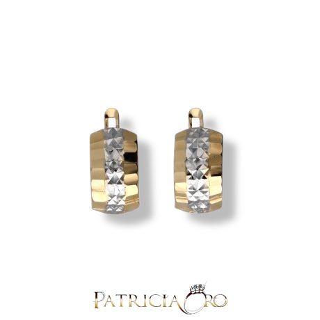 Orecchini Donna in Oro Bicolore 750