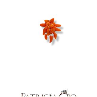 Sciacca Coral Fruits and Flowers Pendant in 14kt Gold